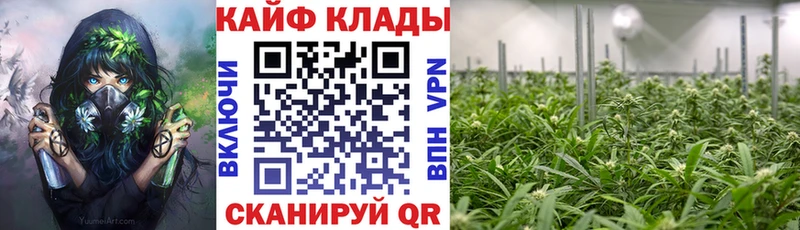 Наркошоп купить Гашиш  Конопля  Лсд 25  Меф мяу мяу  Альфа ПВП  Кулебаки