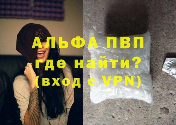 гашик Алзамай