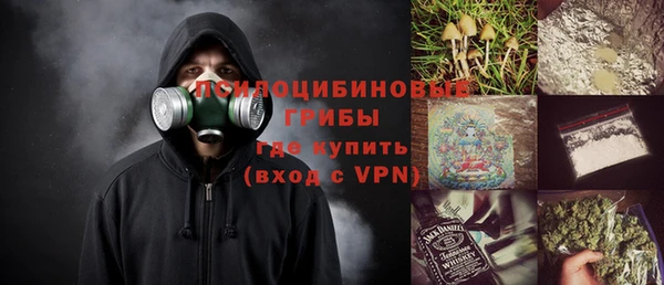 МДПВ Алексин