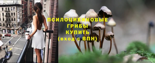 гашик Алзамай