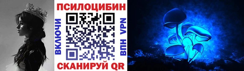 Купить закладки  Кулебаки  Галлюциногенные грибы Cubensis 